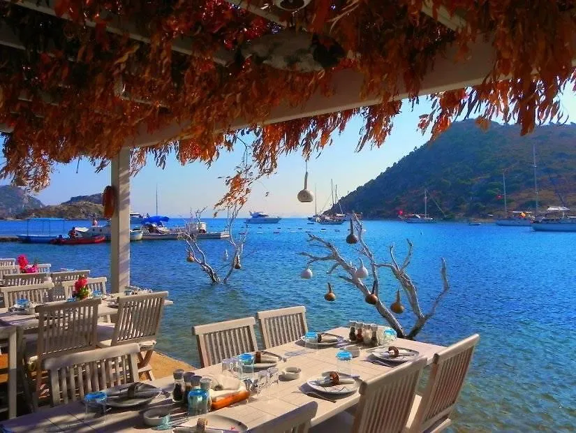 Gozde Deniz Boutique Hotel Bodrum Nocleg ze śniadaniem